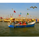 महाकुंभ ने बदल दी नाविकों की जिंदगी, एक दिन कम से कम होती थी 15000 रुपये की कमाई…