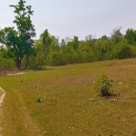 यूपी में 50% तक बढ़ेंगे जमीनों के सर्किल रेट