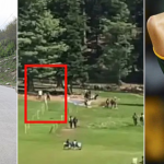 पाकिस्तान के पूर्व ऑलराउंडर शाहिद अफरीदी