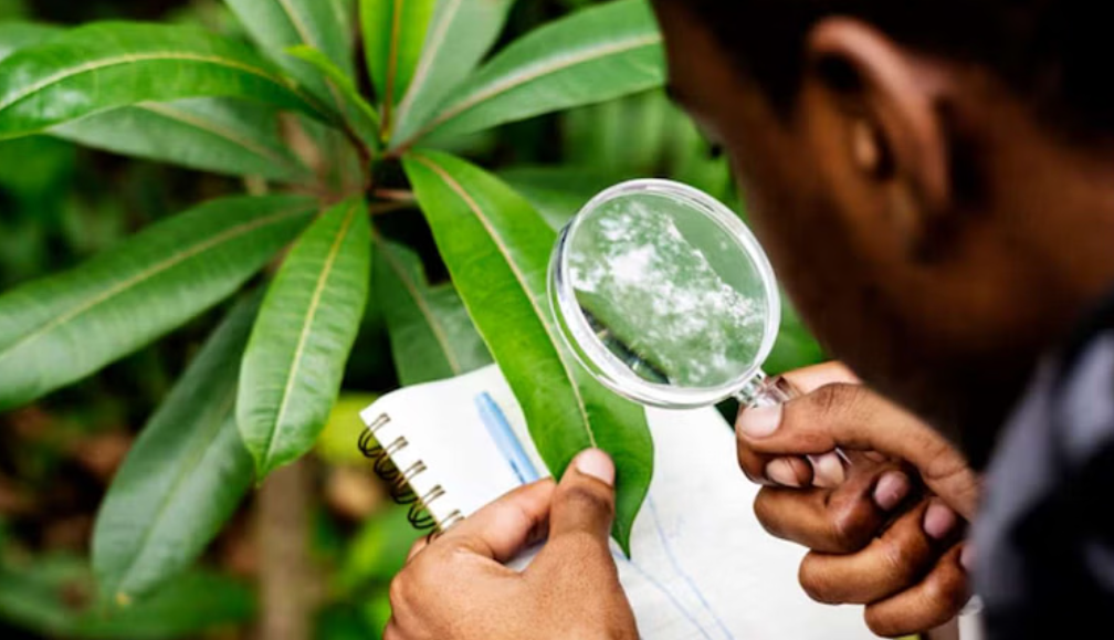 ASRB- NET, ARS, SMS और STO परीक्षा के लिए 582 पदों पर करेगा भर्ती, जानिए आवेदन से जुड़ी हर जानकारी…