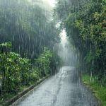 यूपी में पश्चिमी विक्षोभ के कारण बदला मौसम, बादल और बारिश का दृश्य