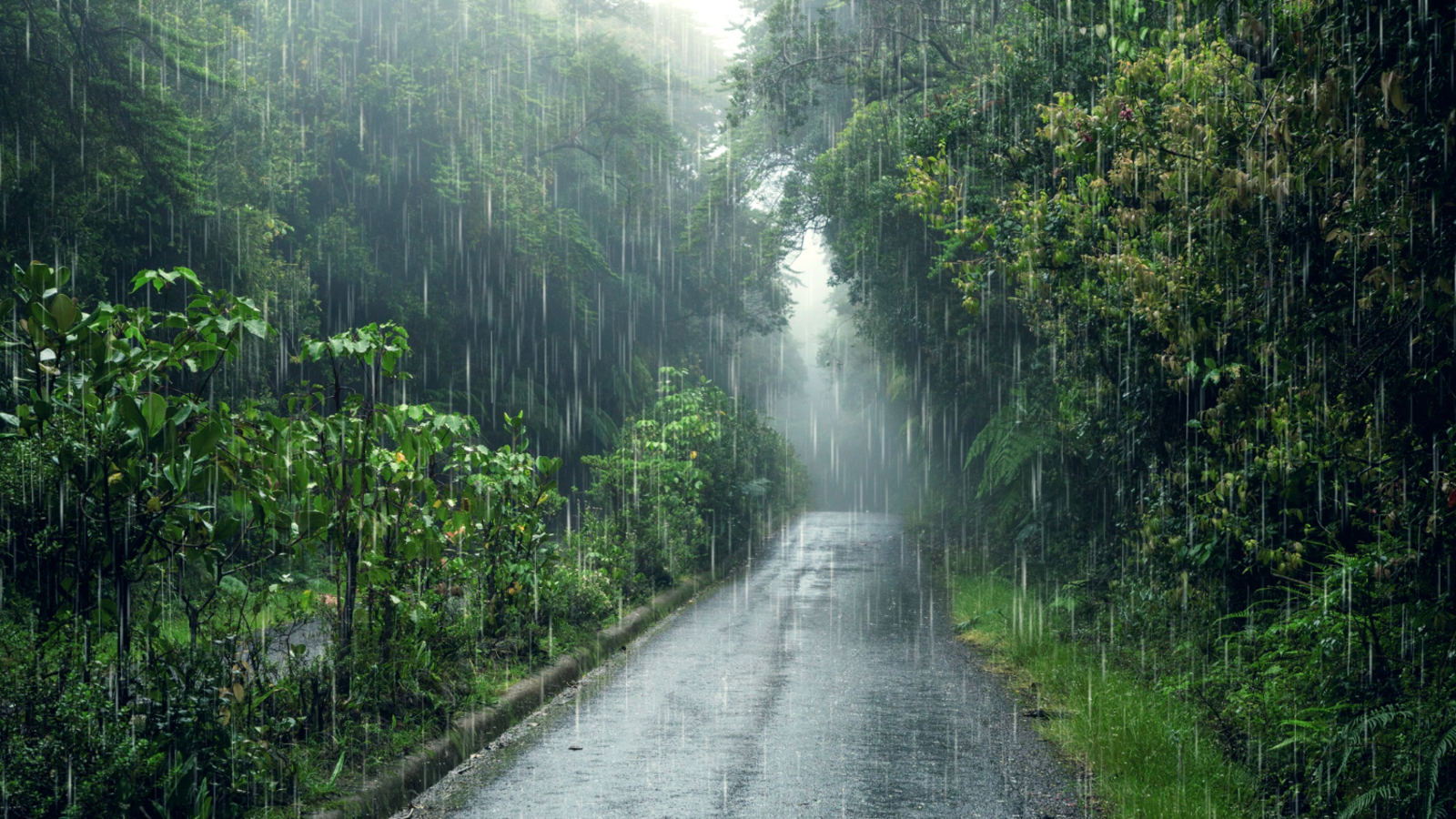 यूपी में पश्चिमी विक्षोभ के कारण बदला मौसम, बादल और बारिश का दृश्य