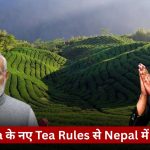Collage of Modi waving and a man in sunglasses joining hands over a tea plantation, with a Hindi news banner about India’s new tea rules.