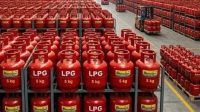 Rows of red LPG gas cylinders labeled 5 kg on warehouse shelves in storage racks.