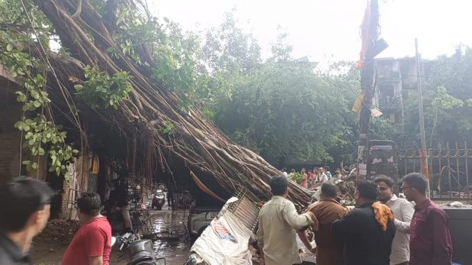 A large uprooted tree blocks a street as a crowd of men gathers to assess the damage nearby cars and motorcycles parked by the curb.