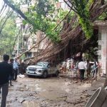 Crowd of people on a street watching a car trapped by a fallen tree and tangled branches outdoors, debris scattered around.