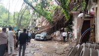 Crowd of people on a street watching a car trapped by a fallen tree and tangled branches outdoors, debris scattered around.