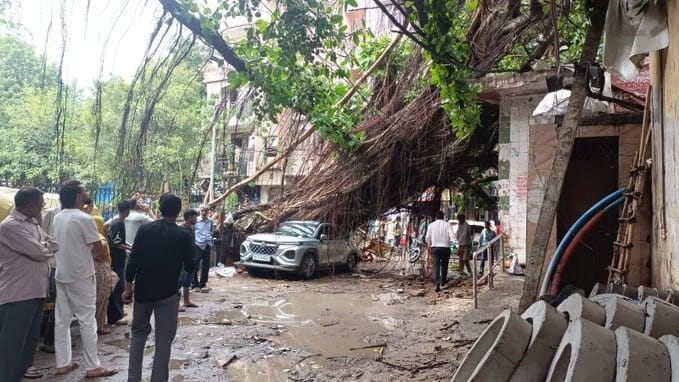 Crowd of people on a street watching a car trapped by a fallen tree and tangled branches outdoors, debris scattered around.