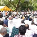 Large crowd seated outdoors at an event under trees with yellow tents in the background.