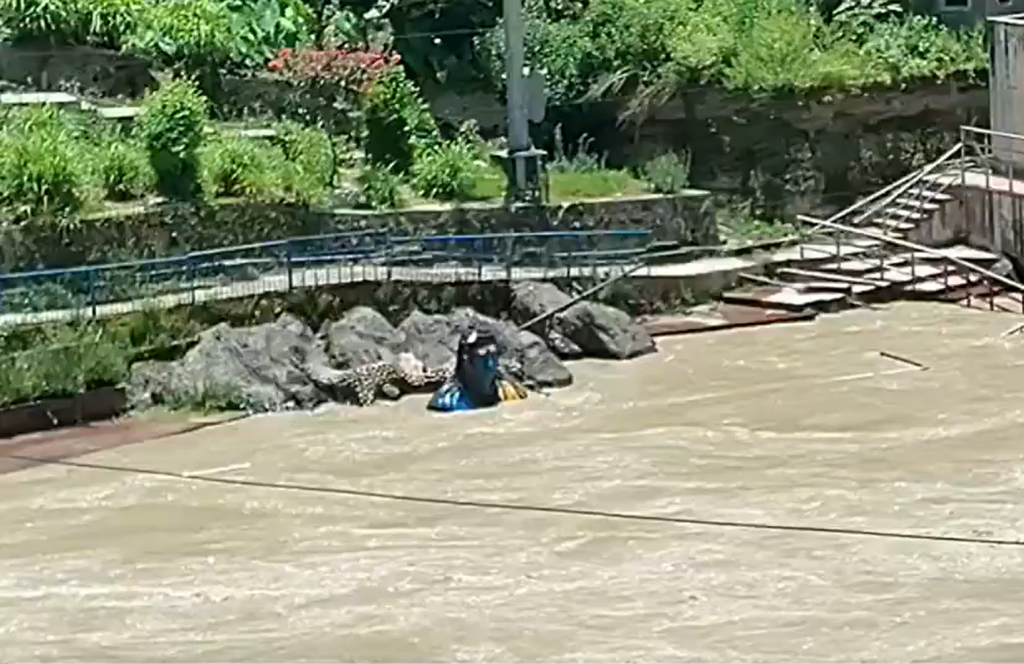 Screenshot 2026-07-04 152336 - The Journalist News Person in a blue and yellow life jacket partially submerged in rough water near a rocky bank and a concrete ramp.