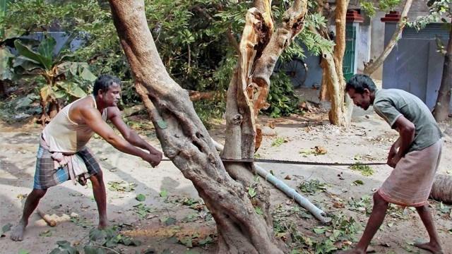 Two men push on a large tree trunk using a metal pipe as a lever in a dusty, outdoor yard.