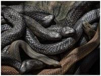 MixCollage-04-Jan-2024-09-17-PM-1083-2024-01-fa001cabf6c81cd132571191fff6e037-200x150 The Journalist News